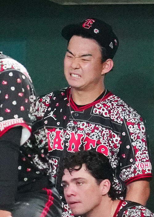 図・写真