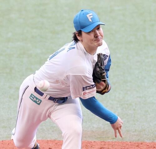 図・写真