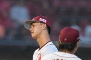 図・写真