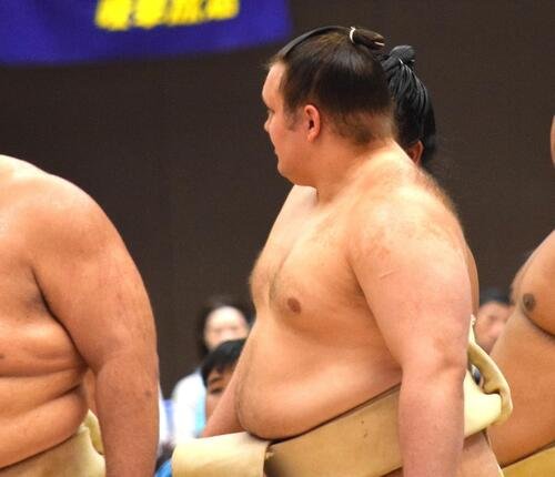 図・写真
