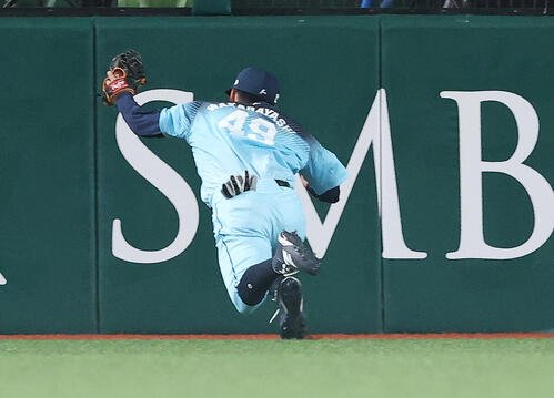 図・写真