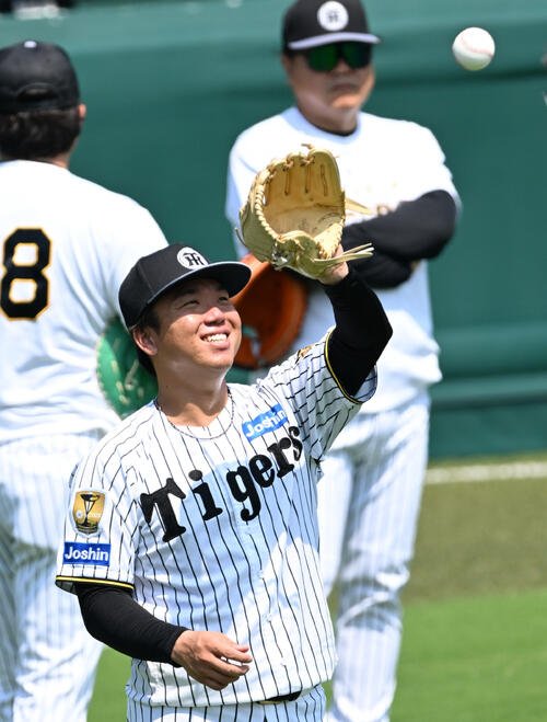 図・写真
