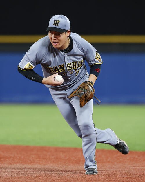 図・写真