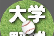 図・写真