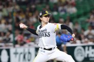 図・写真