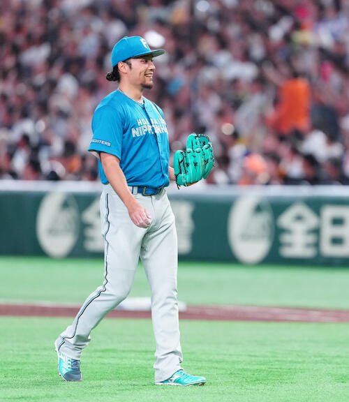 図・写真