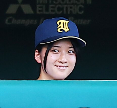 図・写真
