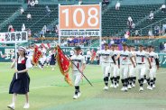 図・写真