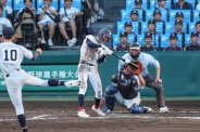 図・写真