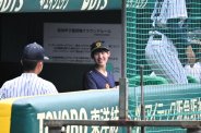 図・写真