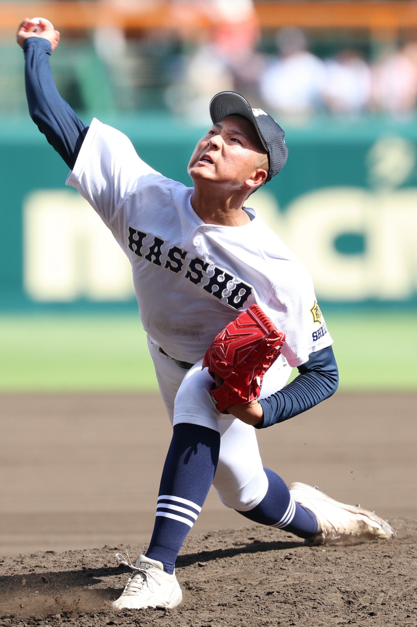 図・写真
