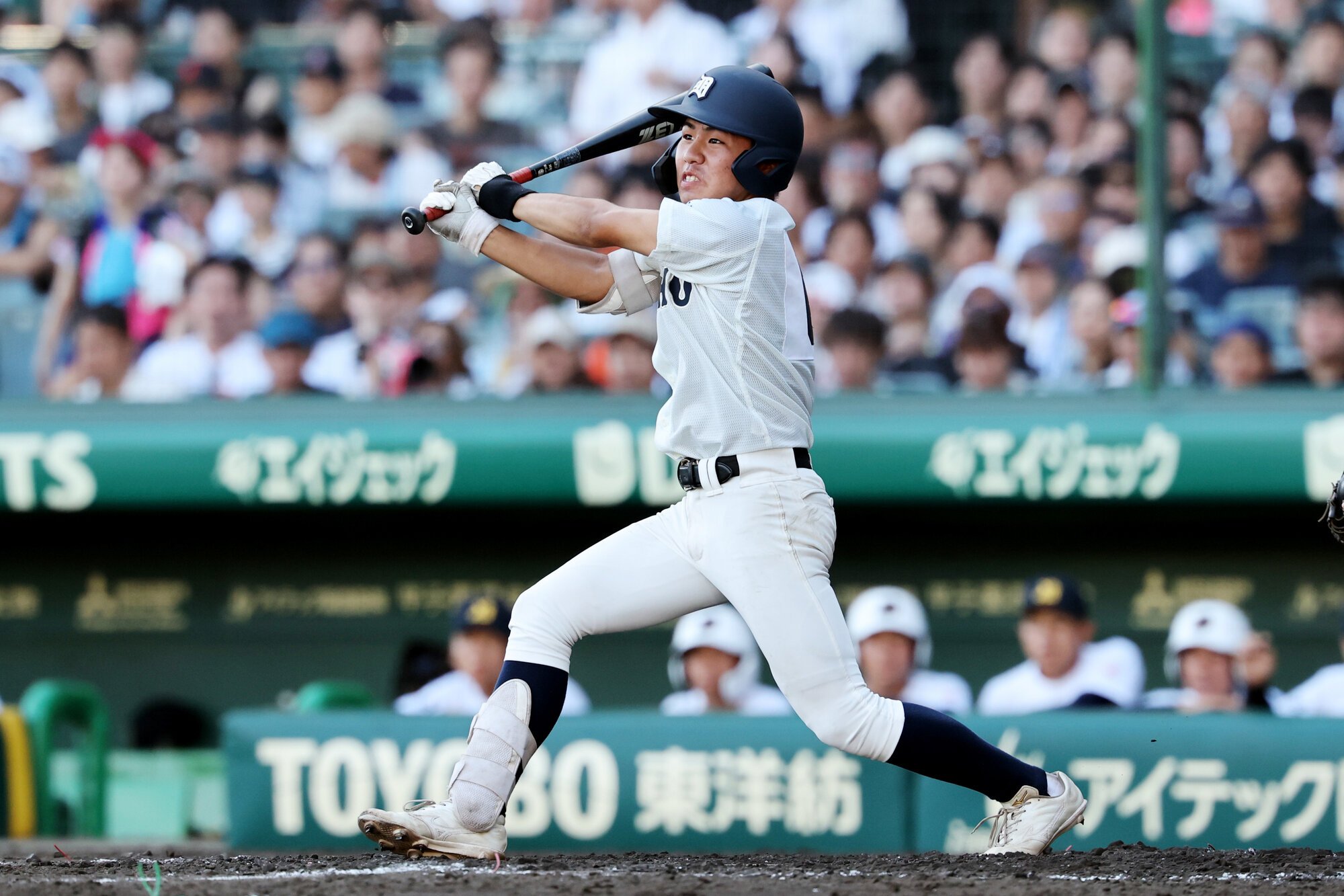 図・写真