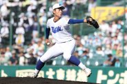 図・写真