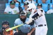 図・写真