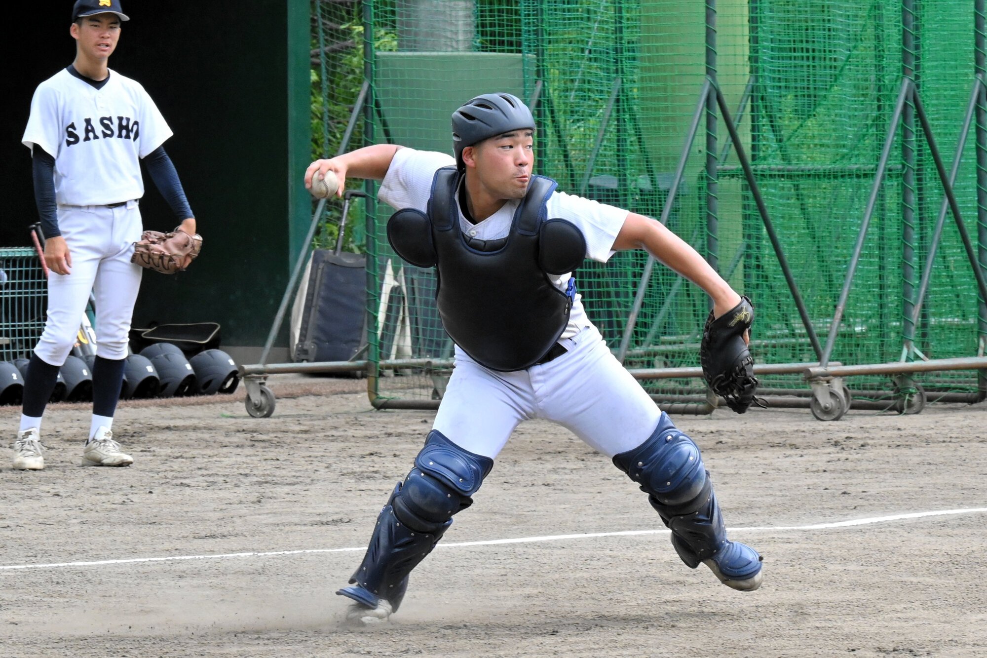 図・写真
