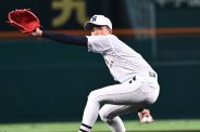 図・写真