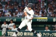 図・写真
