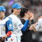 図・写真