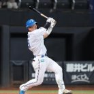 図・写真