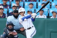 図・写真