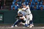 図・写真