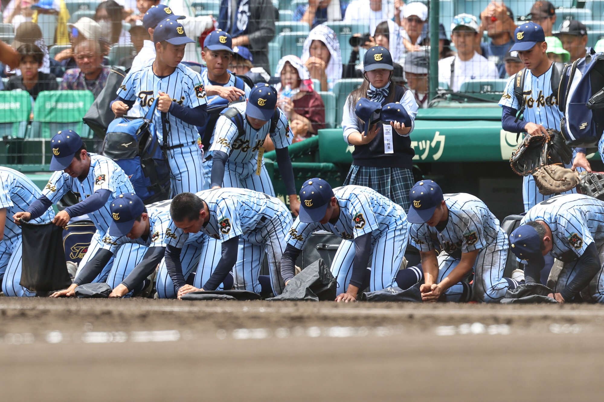 図・写真