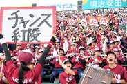 図・写真