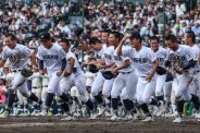 図・写真