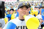 図・写真
