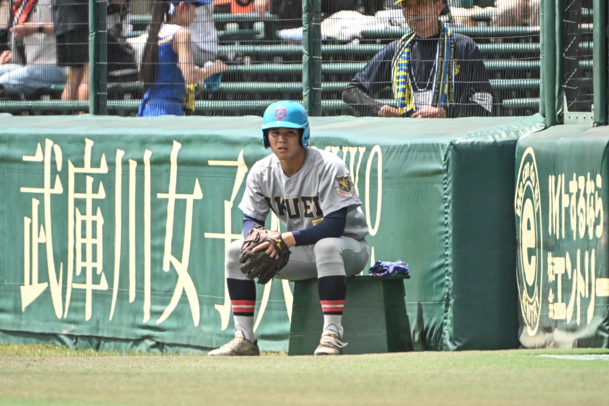 図・写真