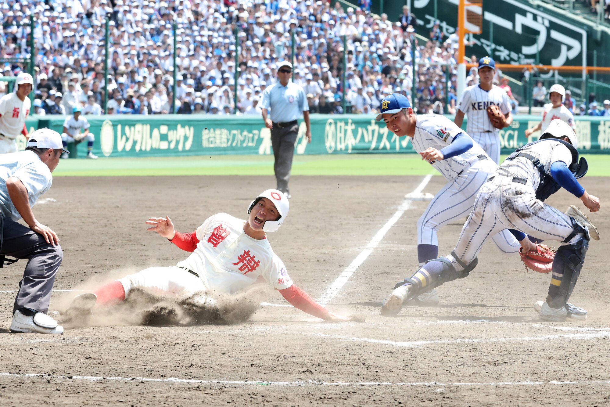 図・写真