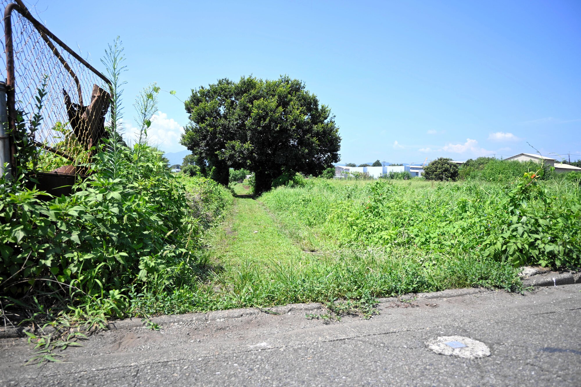 図・写真