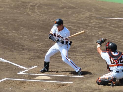 図・写真