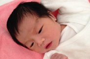 図・写真