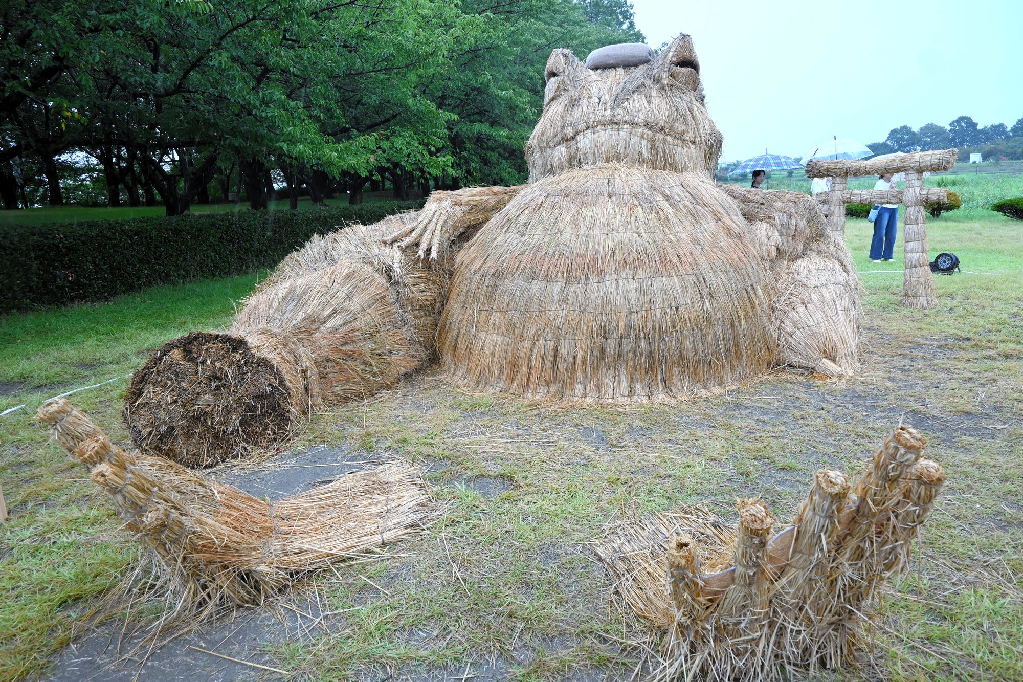 図・写真