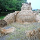 図・写真