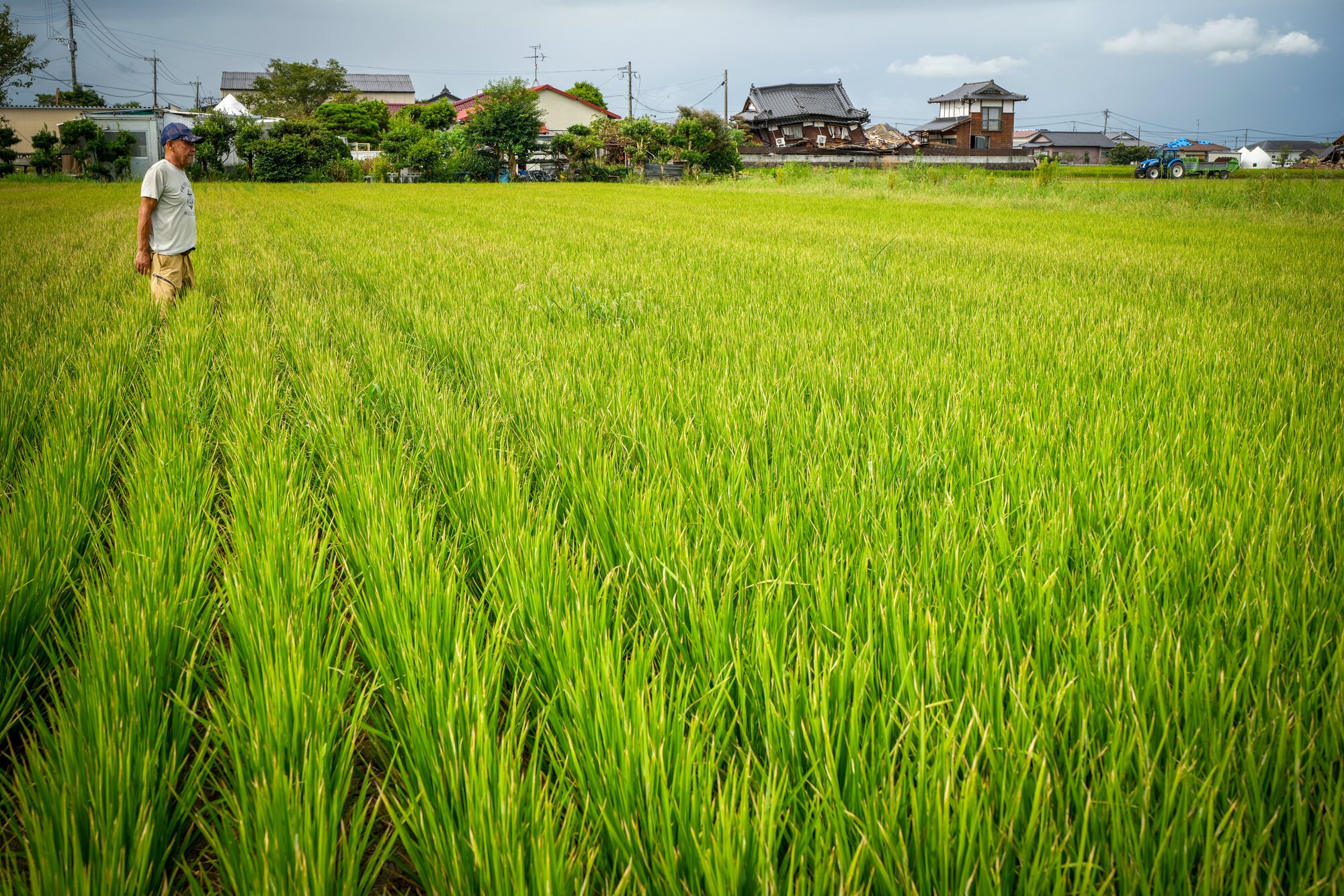 図・写真