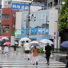 図・写真