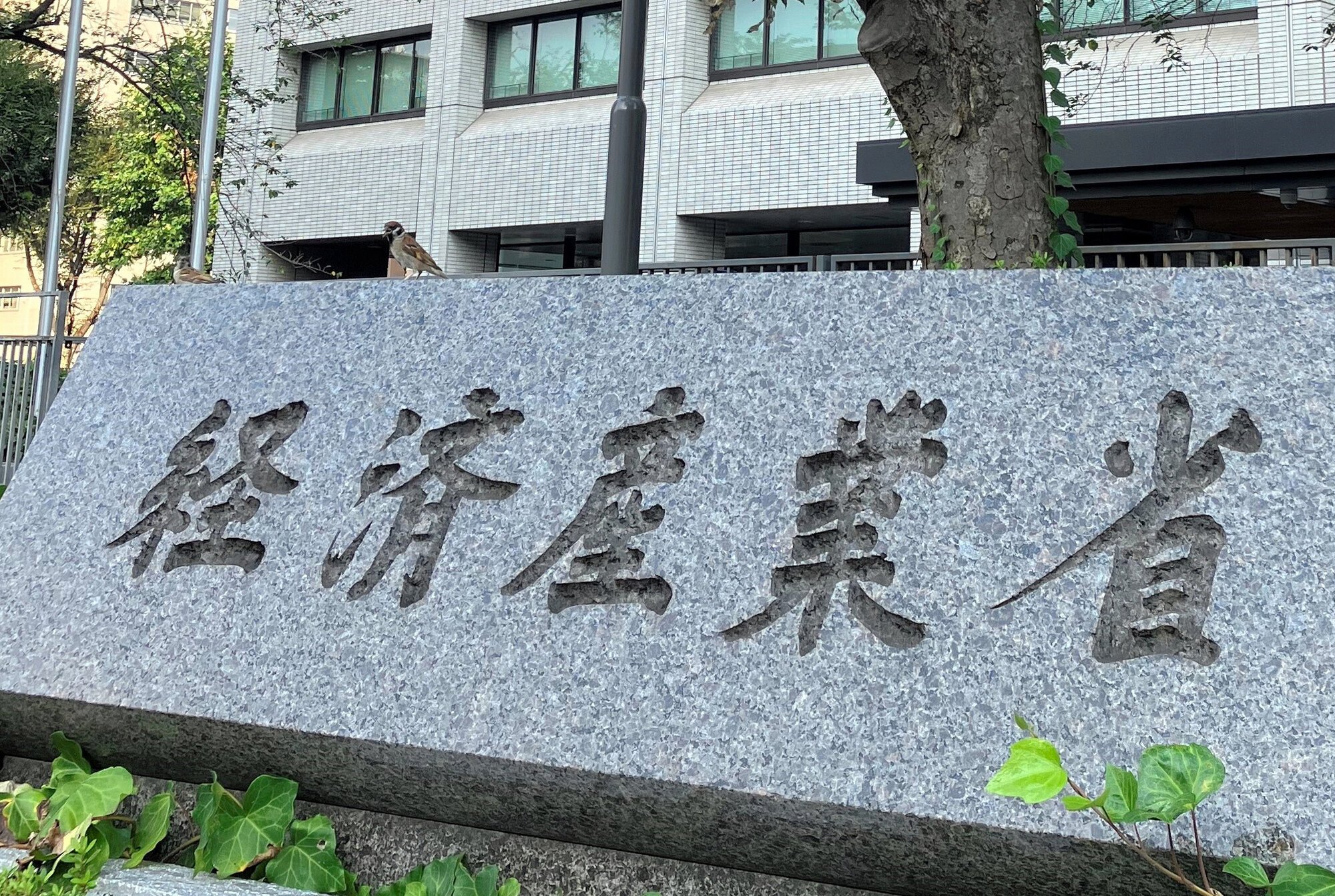 図・写真
