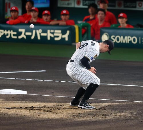 図・写真