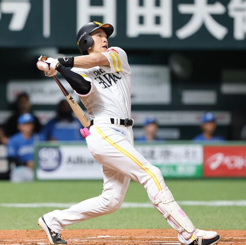 図・写真