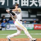 図・写真