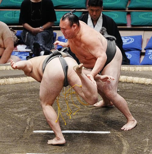 図・写真