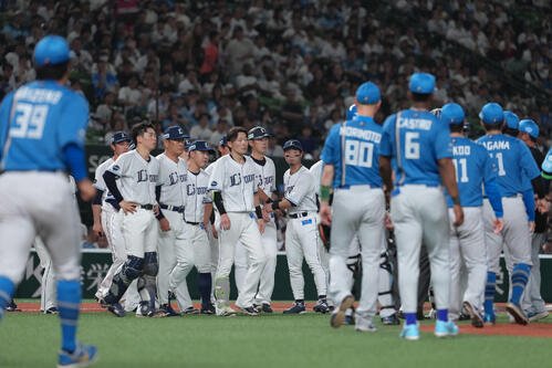 図・写真