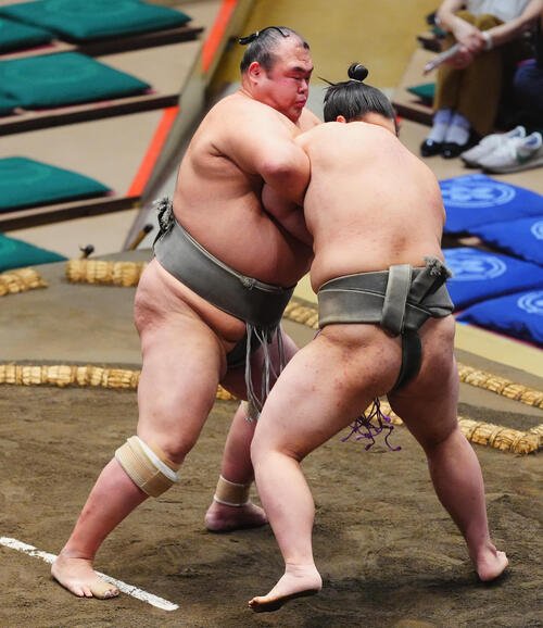 図・写真