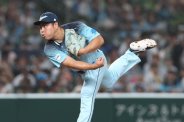図・写真