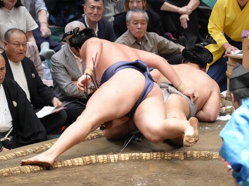 図・写真