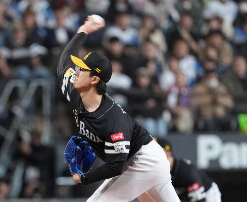 図・写真