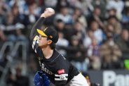 図・写真