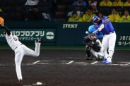 図・写真